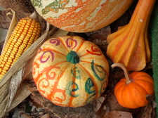 harvest pumpkins.jpg